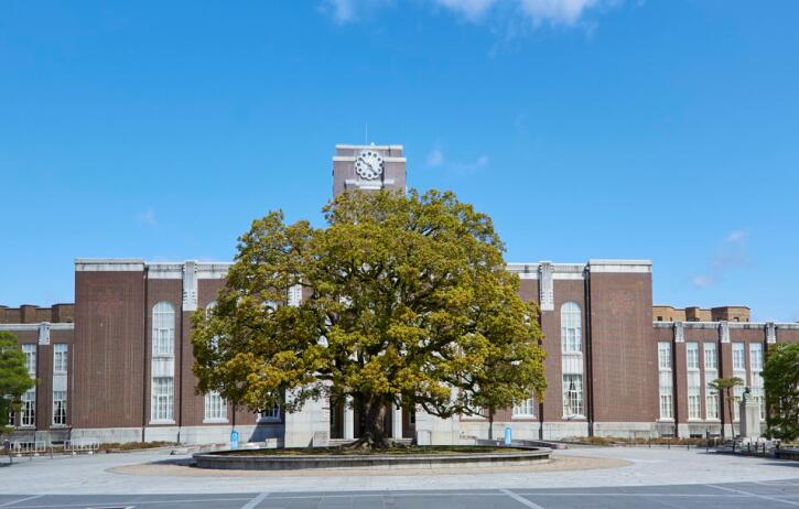 京都大學(xué)