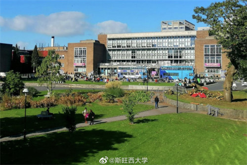 斯旺西大學